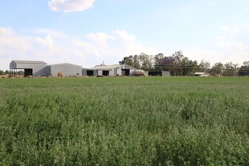 Main view of Homely rural property listing, "Shed Block" Loakes Road, Mundubbera QLD 4626