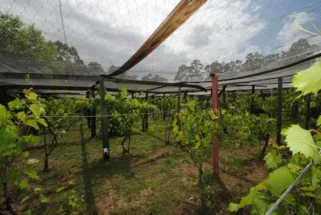 Seventh view of Homely land listing, 95 Jerberra Road, Tomerong NSW 2540