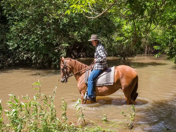 Fourth view of Homely rural property listing, 787 Keerrong Road, Keerrong NSW 2480