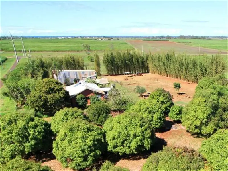 Main view of Homely house listing, 25 Behnkes Road, Woongarra QLD 4670