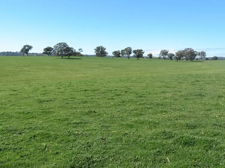 Seventh view of Homely rural property listing, "Kilgowlah" Hume Highway, Tarcutta NSW 2652