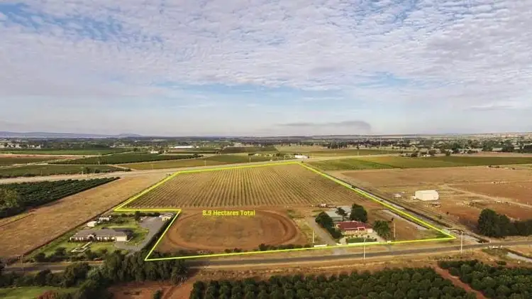 Fifth view of Homely rural property listing, 775 Dempsey Road, Leeton NSW 2705