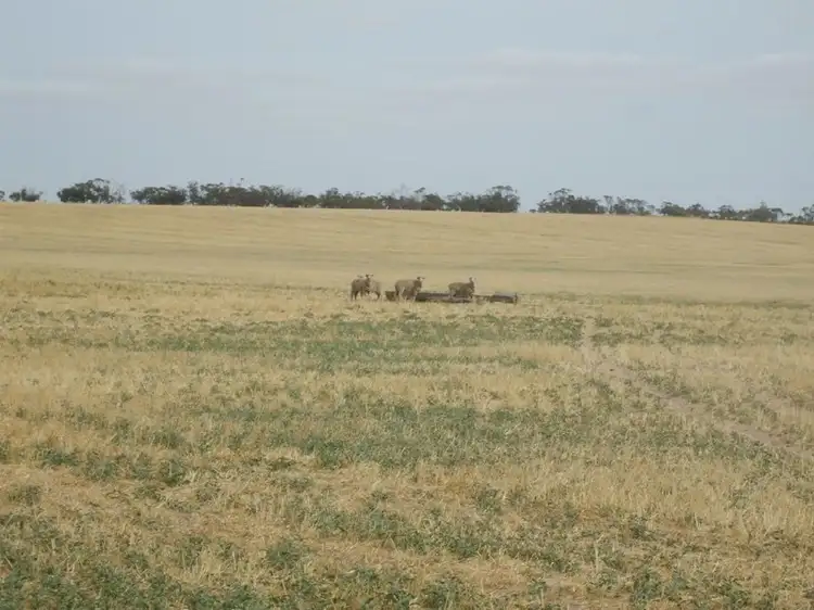 Fifth view of Homely rural property listing, Lot 13 Oaks Road, Pinnaroo SA 5304