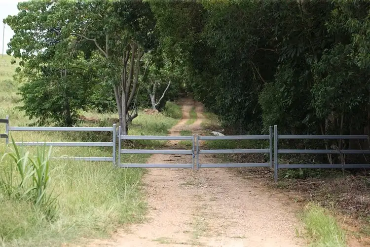 Sixth view of Homely rural property listing, 217 McAllister's Road, Bilambil Heights NSW 2486