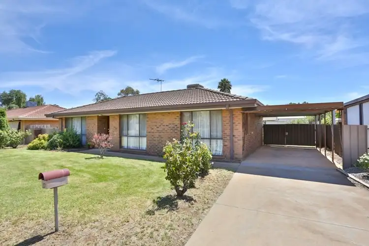 17 Flamingo Drive, Mildura VIC 3500