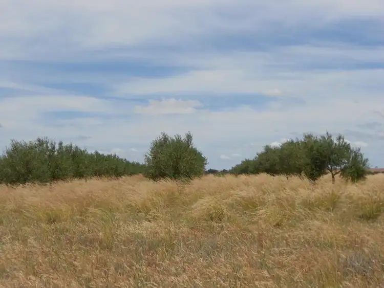 Fifth view of Homely rural property listing, Lot 52 5257 Mallee Highway, Jabuk SA 5301