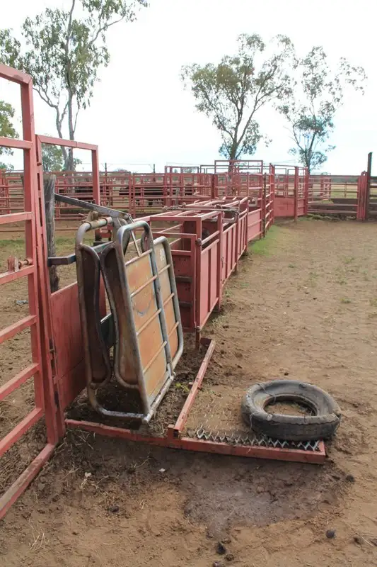 Seventh view of Homely rural property listing, Lot 11 Ingaby Road, St George QLD 4487