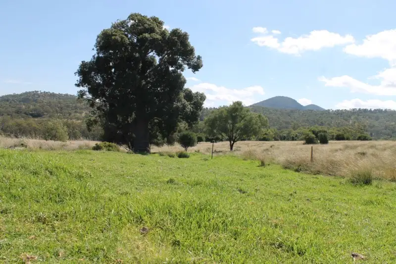 Main view of Homely rural property listing, Address available on request