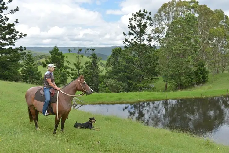 Sixth view of Homely rural property listing, 361 Hausmann Road, Mount Mee QLD 4521