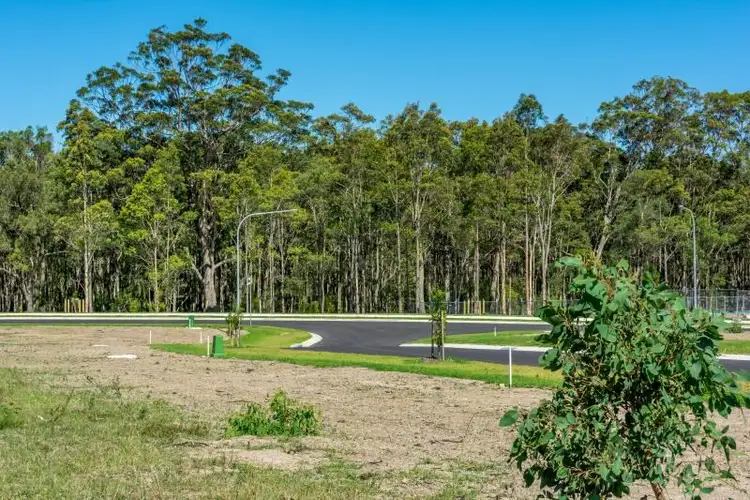 Lot 311 Caladenia Crescent, Worrigee NSW 2540