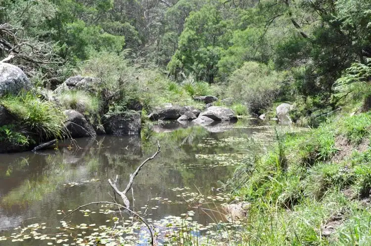 Fourth view of Homely rural property listing, Imbergers Imbergers Road, Tenterfield NSW 2372