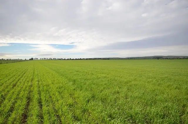 Second view of Homely rural property listing, Lot 3-Ashmore Smith Road, Mintaro SA 5415