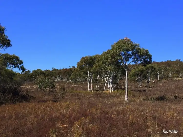 Second view of Homely rural property listing, 43 Tee Tree, Bombay NSW 2622