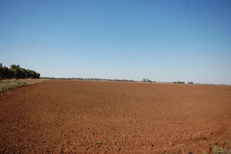 Fourth view of Homely rural property listing, Farm 1058a Kidman Way, Hanwood NSW 2680