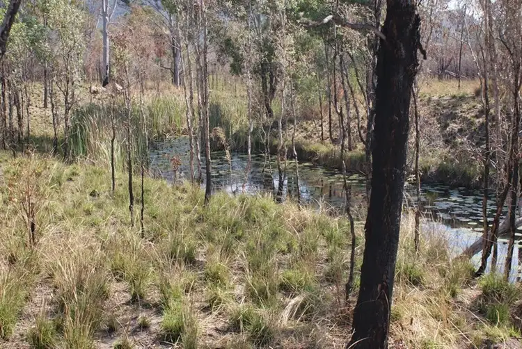 Fifth view of Homely rural property listing, Lot 17/2300 Fingerboard Road, Mount Tom QLD 4677