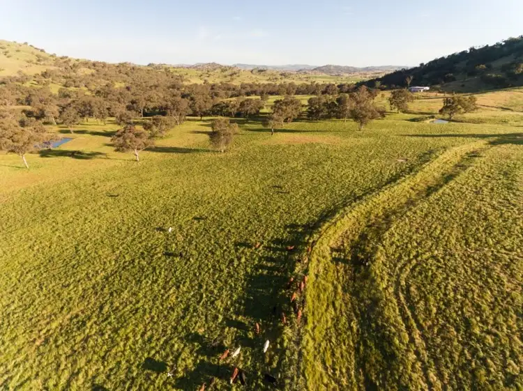 Seventh view of Homely rural property listing, 1470 Darbys Falls Road, Darbys Falls NSW 2793