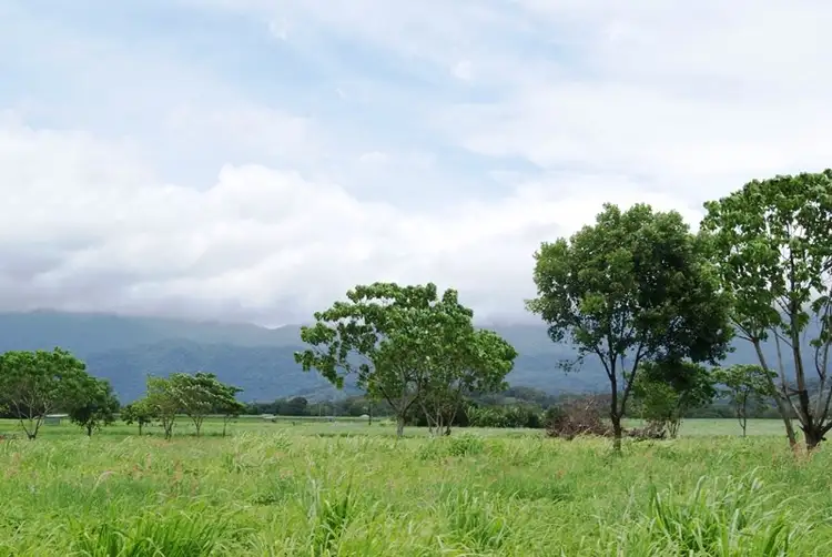 Second view of Homely land listing, 163R Newell Road, Newell QLD 4873