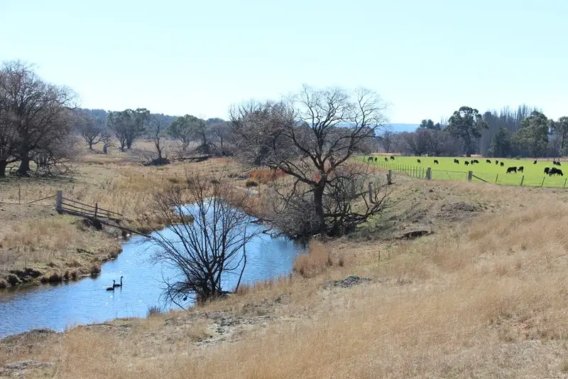 Main view of Homely rural property listing, 1436 Rockvale Road, Armidale NSW 2350