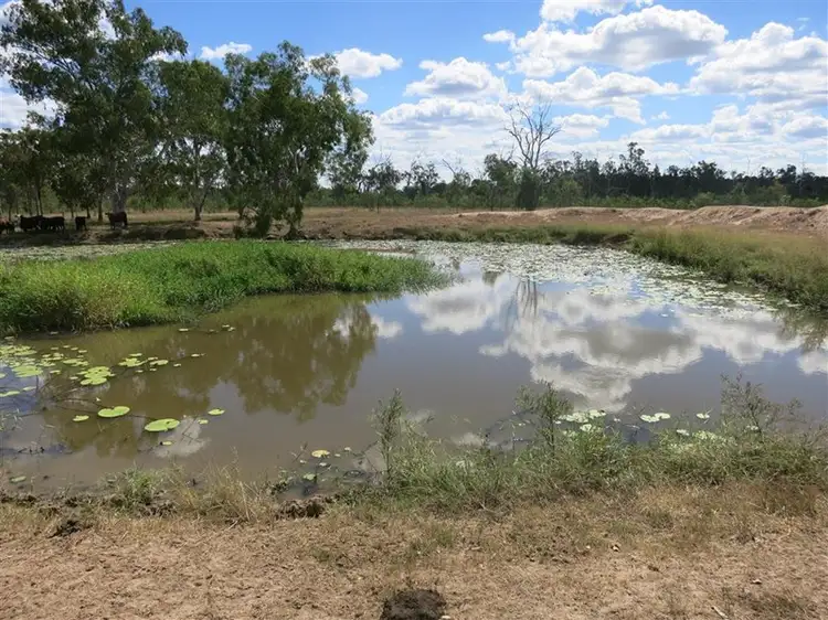 Seventh view of Homely rural property listing, . Glenroy Road, Morinish QLD 4702
