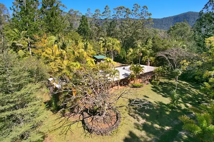 275 South Pumpenbil Road, Tyalgum NSW 2484