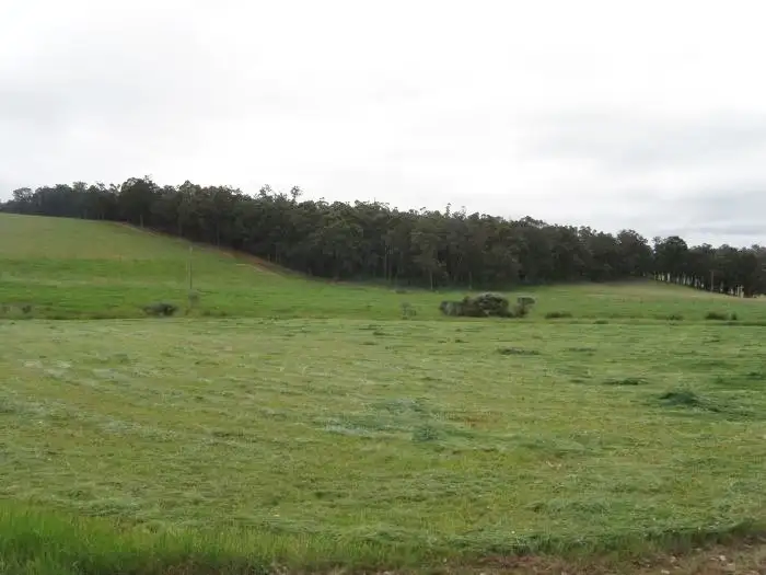 Sixth view of Homely rural property listing, Lot 800 Graphite Road, Nannup WA 6275