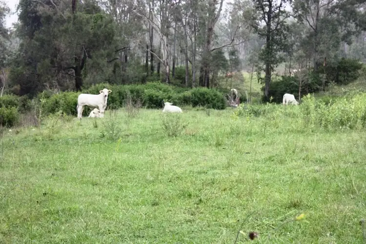 Fifth view of Homely rural property listing, Lot 1 D'Aguilar Highway, Moore QLD 4306
