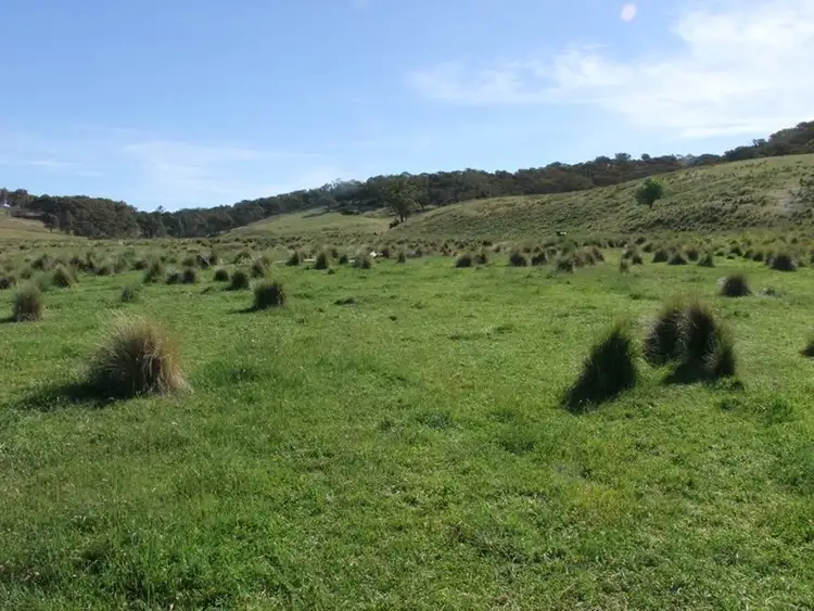 Seventh view of Homely rural property listing, 0 Wimbledon Road, Bathurst NSW 2795