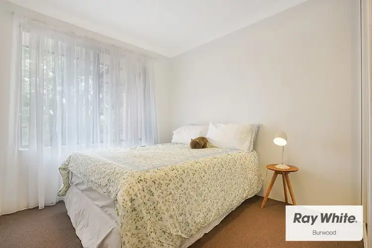 Fifth view of Homely apartment listing, 11/15-17 Albert Parade, Ashfield NSW 2131