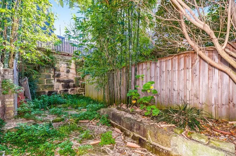 Fourth view of Homely terrace listing, 73 Surrey Street, Darlinghurst NSW 2010