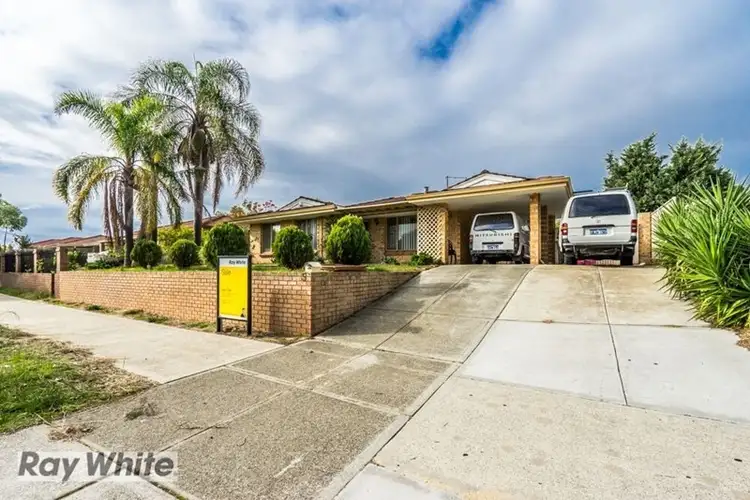 55 Honeywell Boulevard, Mirrabooka WA 6061