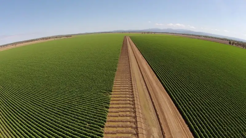 Main view of Homely rural property listing, "Riverstone" Narrabri, Narrabri NSW 2390