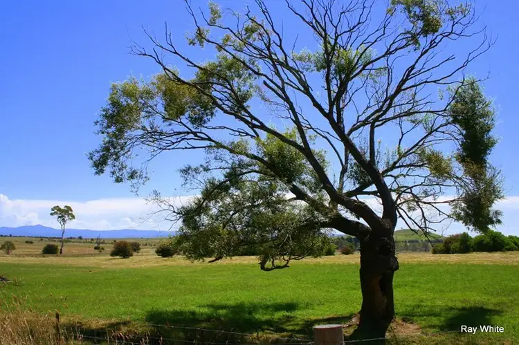 Main view of Homely rural property listing, 2 Nerriga Road, Braidwood NSW 2622