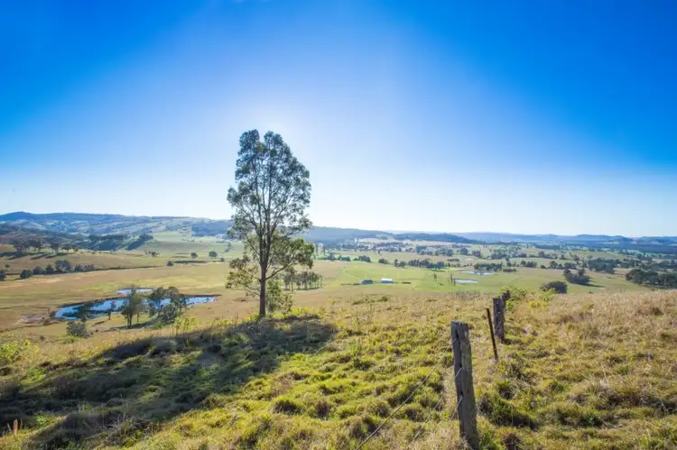 Fifth view of Homely rural property listing, 1401 Dungog Road, Wallarobba NSW 2420