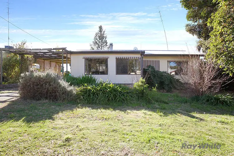 Main view of Homely house listing, 14 Pattullo Avenue, Clare SA 5453