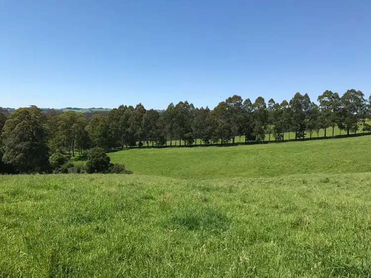 Main view of Homely rural property listing, 383 Emersons Road, Dorrigo NSW 2453