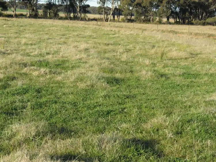 Fifth view of Homely rural property listing, 741 Lot 31 Thanowring Road, Temora NSW 2666