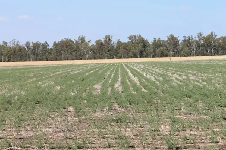 Seventh view of Homely rural property listing, . Millmerran-Cecil Plains Road, Cecil Plains QLD 4407