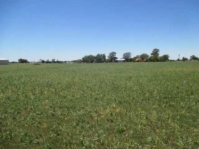 Fifth view of Homely land listing, Lot 3 Carinda Road, Coonamble NSW 2829