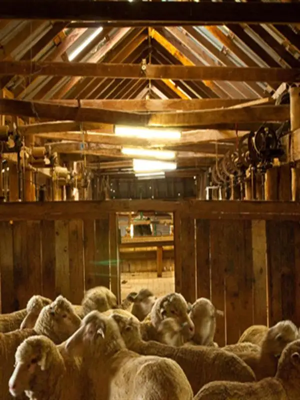 Sixth view of Homely rural property listing, "CARWELL " Carwell Station, Coonamble NSW 2829