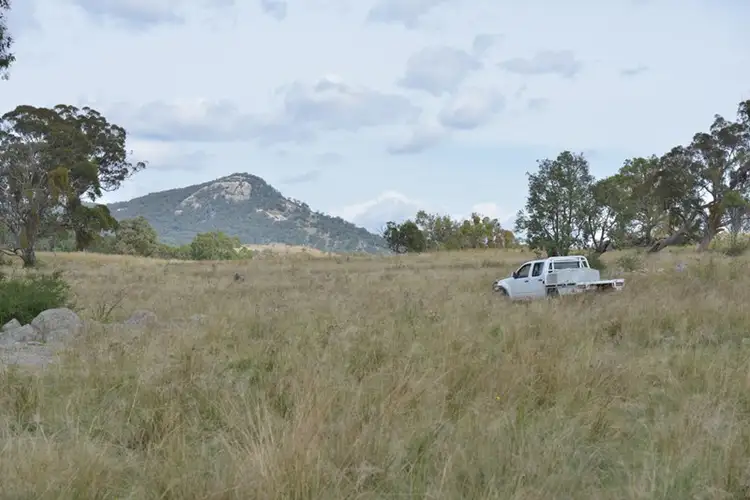 Third view of Homely rural property listing, 496 Sunnyside Loop Road, Tenterfield NSW 2372