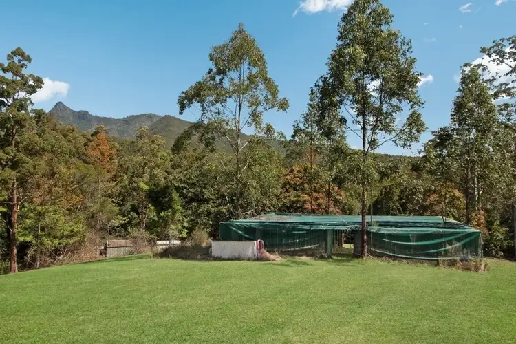 Fifth view of Homely rural property listing, 1270 Tyalgum Road, Tyalgum NSW 2484