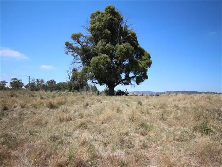 Fifth view of Homely rural property listing, 125 Hazelgrove Road, Oberon NSW 2787