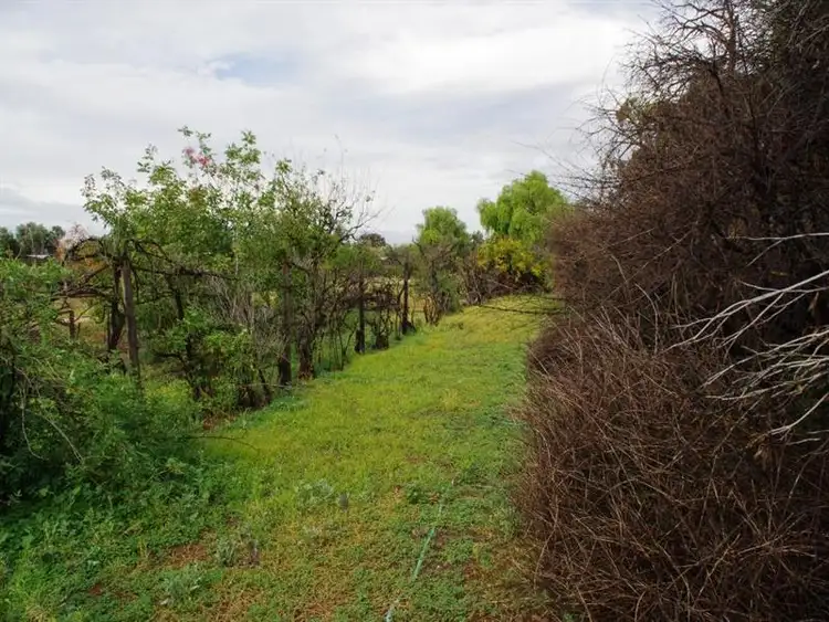 Third view of Homely house listing, Secs 323 and 324 Twentysixth Street, Renmark SA 5341