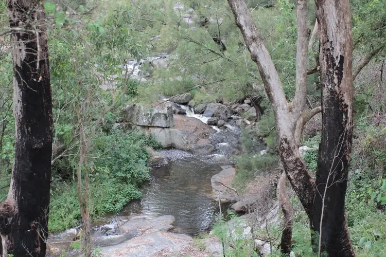 Fifth view of Homely rural property listing, 1924 Billirimba Road, Tenterfield NSW 2372