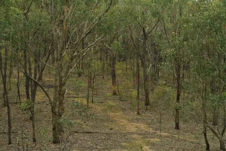 Third view of Homely land listing, Allotment B18 Back Kyneton Road, Heathcote VIC 3523