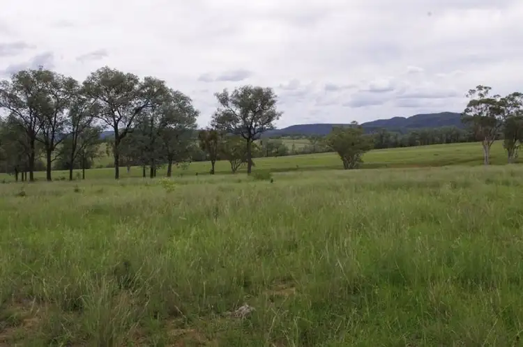 Seventh view of Homely rural property listing, 2000 'Bronco' Elcombe Road, Bingara NSW 2404