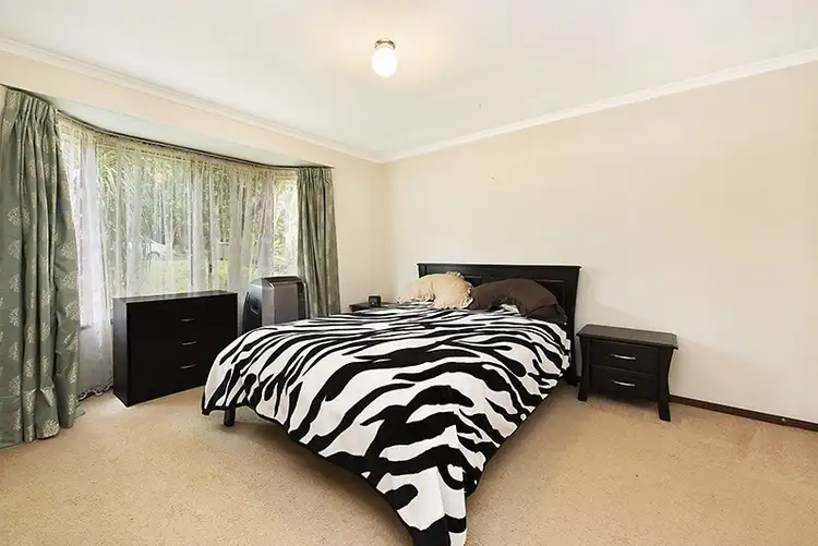 Fifth view of Homely house listing, 14 Camelia Court, Palmwoods QLD 4555