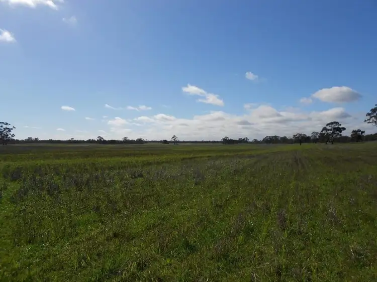 Main view of Homely rural property listing, 500 Bangham Road, Bangham SA 5268
