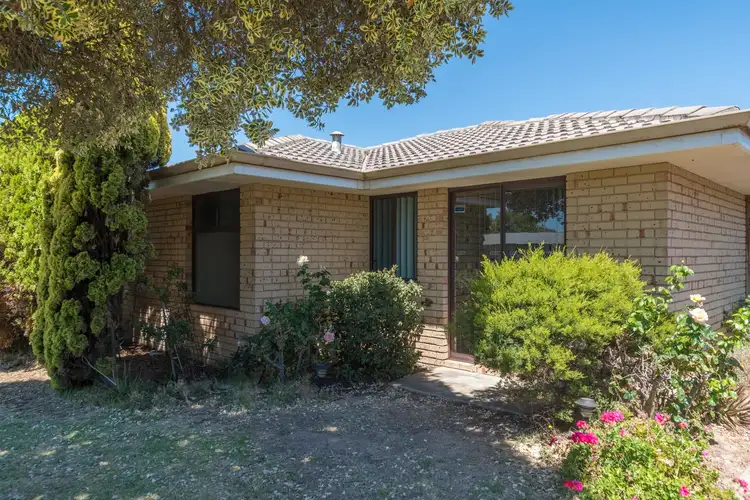 7/7 Hayward Street, South Bunbury WA 6230