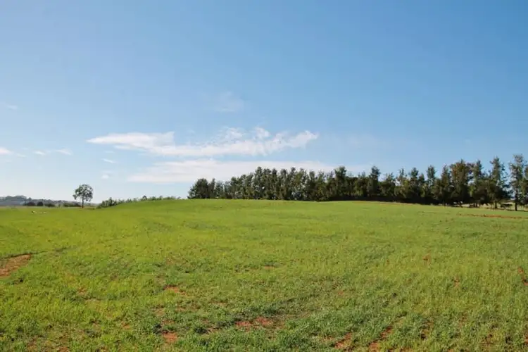 Fourth view of Homely land listing, 48 Curtis Place, Young NSW 2594